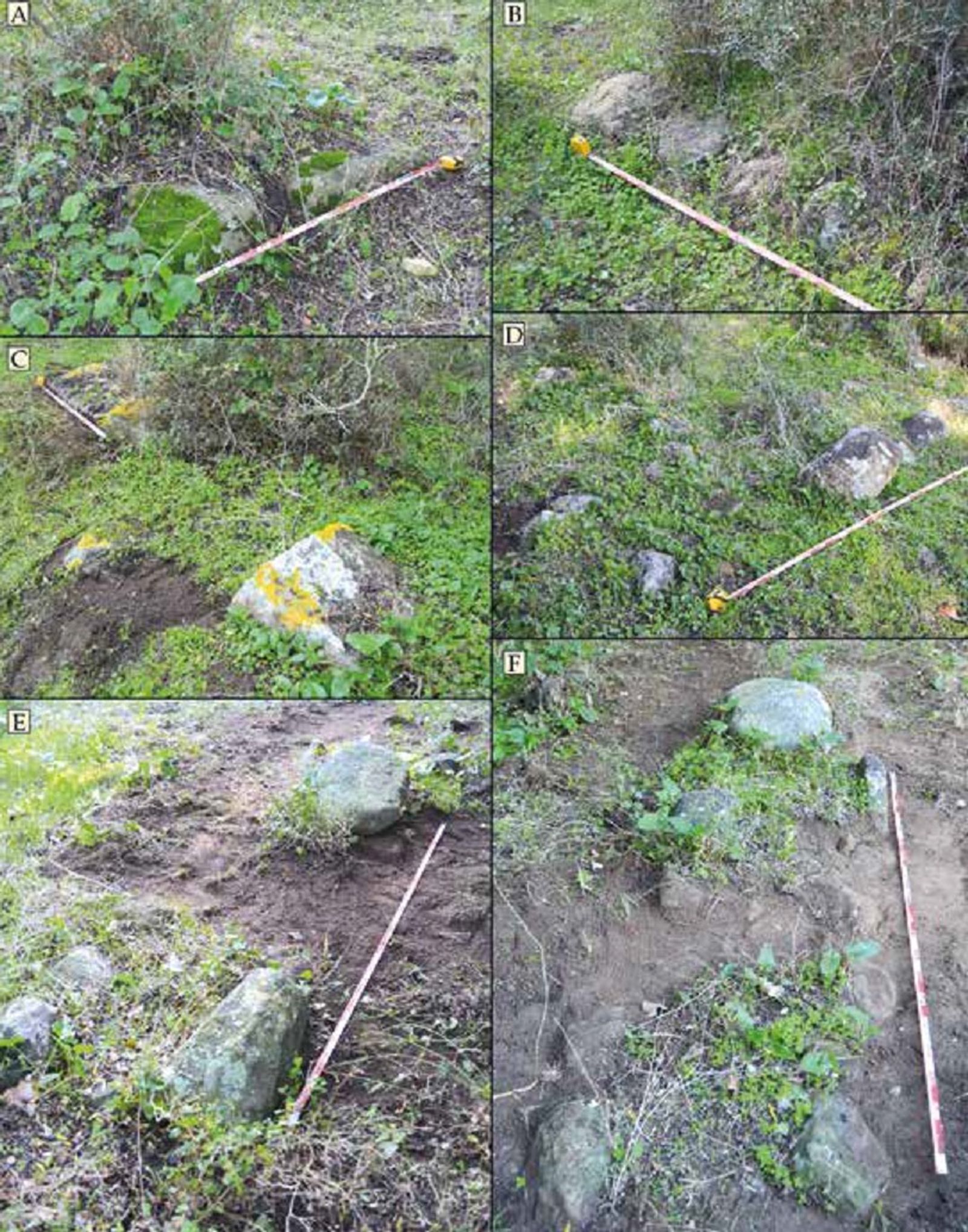 Estructuras visibles del Monte de la Torre: muros en la zona superior (A-C) y posible muro perimetral del sector oeste (D-F).