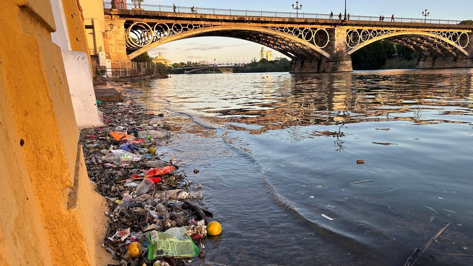Acumulación de basura en el río, uno de los lugares predilectos de la rata gris.