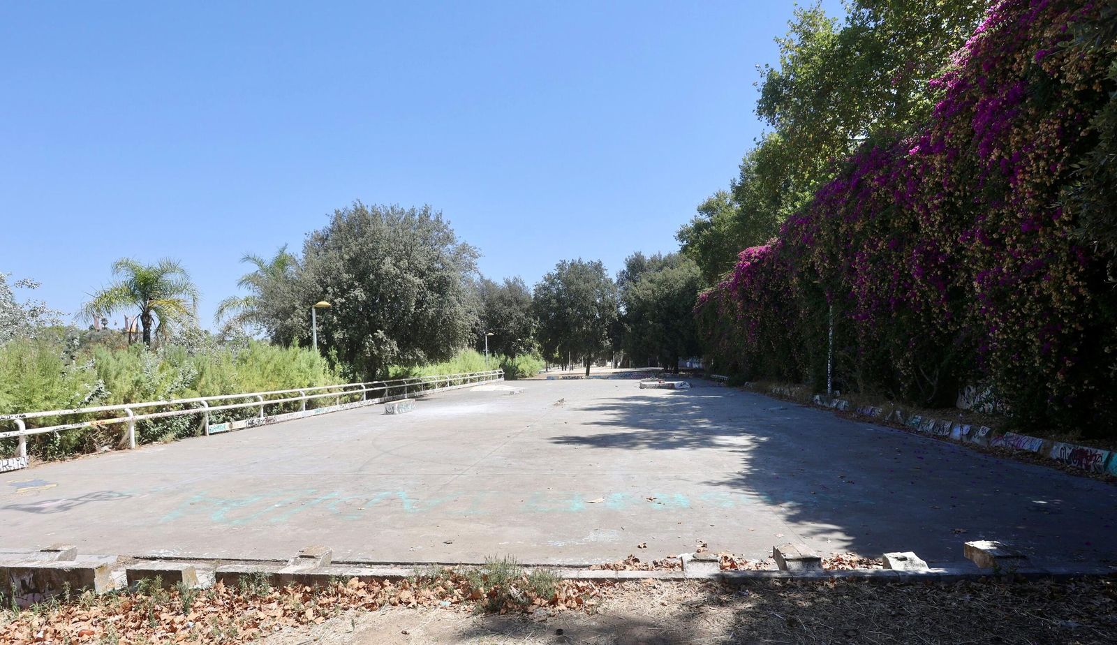 El lugar de la intervención.