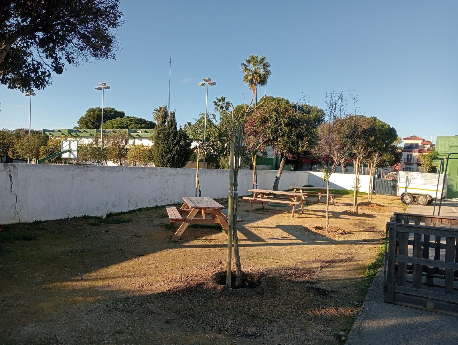 Algunas de las especies plantadas en los centros educativos de la Villa