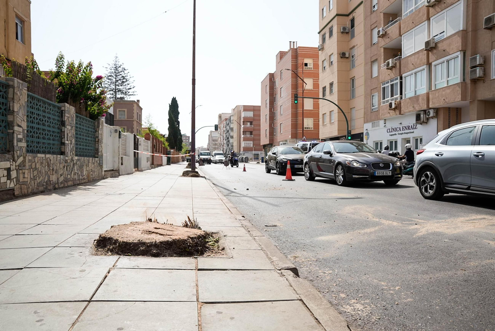Completan la tala de palmeras de la avenida Cabo de Gata
