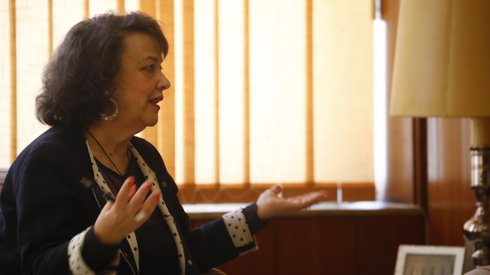 La subdelegada del Gobierno, Rafaela Valenzuela, durante la entrevista. La subdelegada del Gobierno, Rafaela Valenzuela, durante la entrevista.