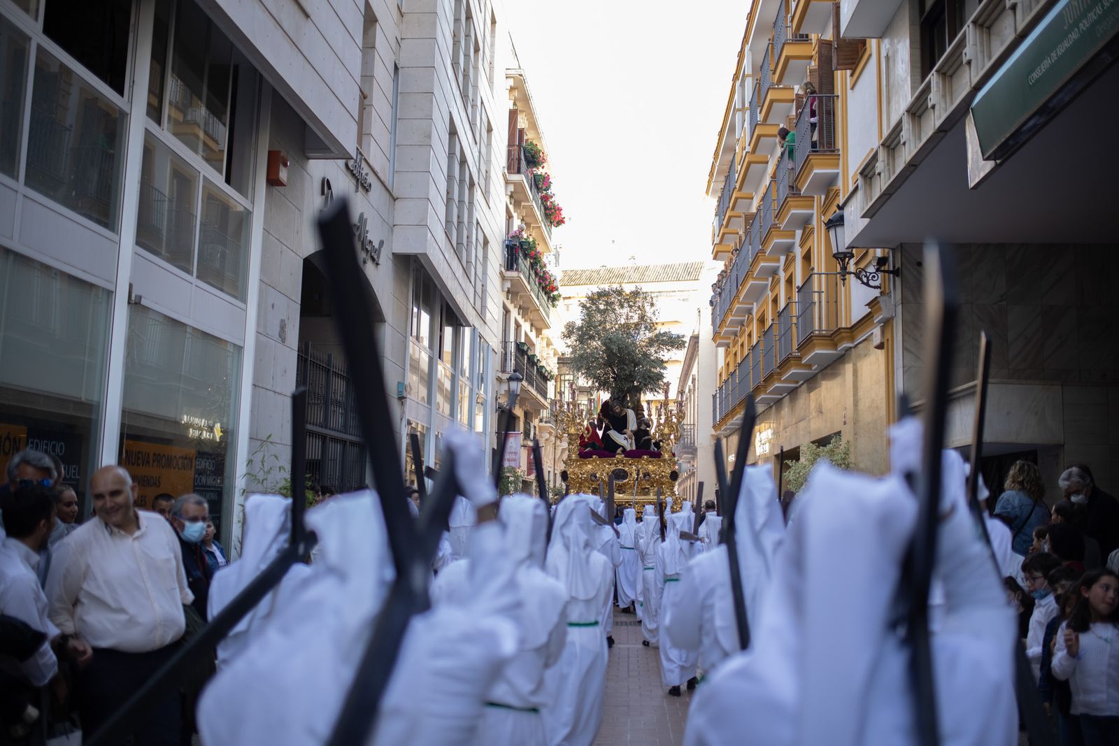 Imágenes del Jueves Santo: Hermandad de la Oración en el Huerto