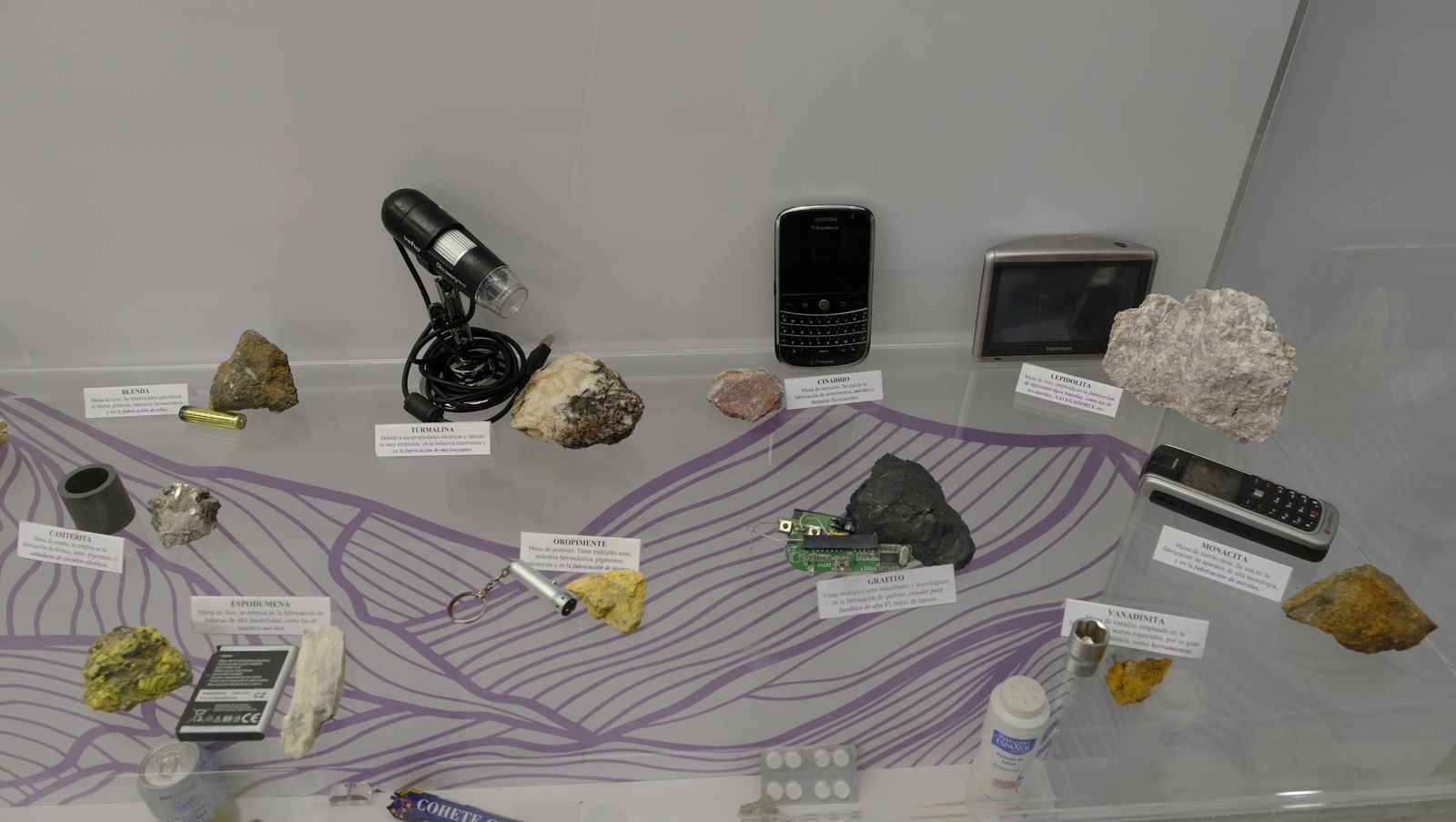 Las mejores imágenes del Pabellón de Historia Natural de la UAL