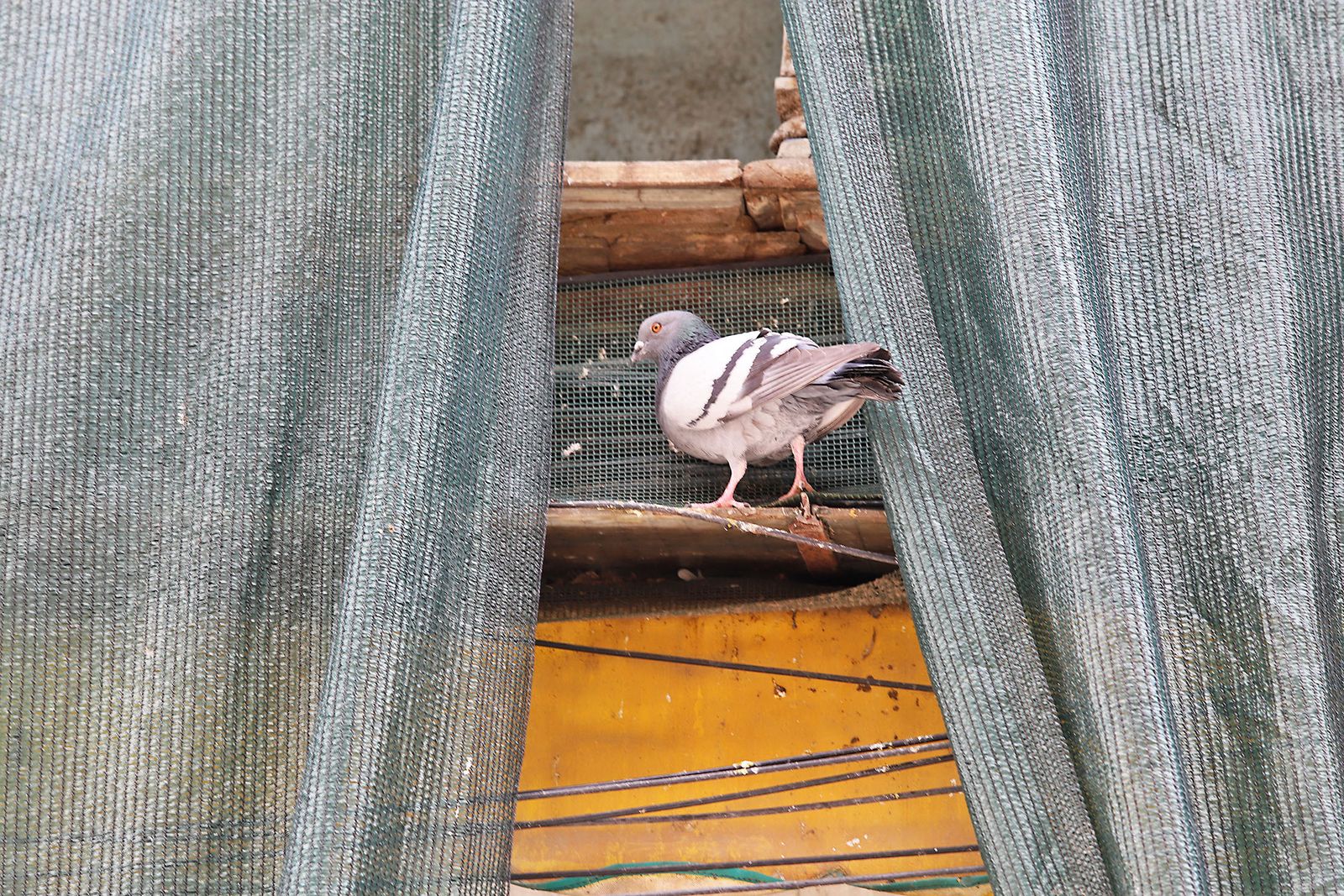 Las imágenes más destacadas del 1 de mayo en Huelva