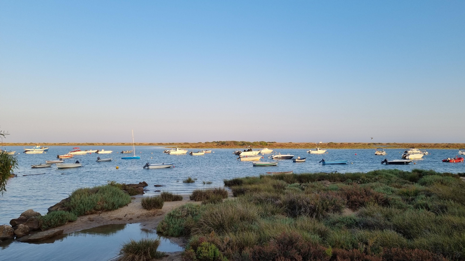 Parque Natural de Ría Formosa.