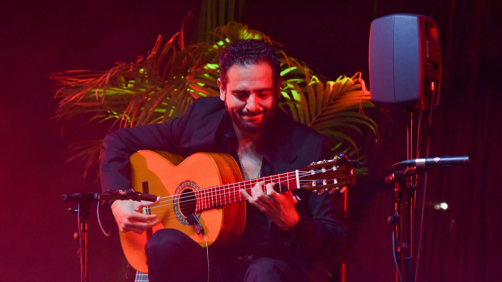 Fotos del concierto de Diego del Morao en el IX Encuentro Internacional de guitarra Paco de Lucía