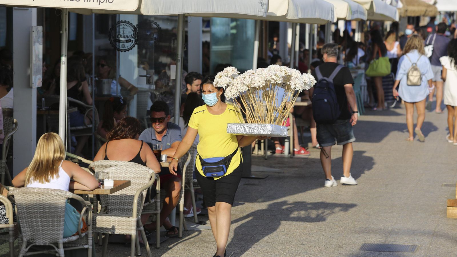 Biznagas en Pedregalejo.