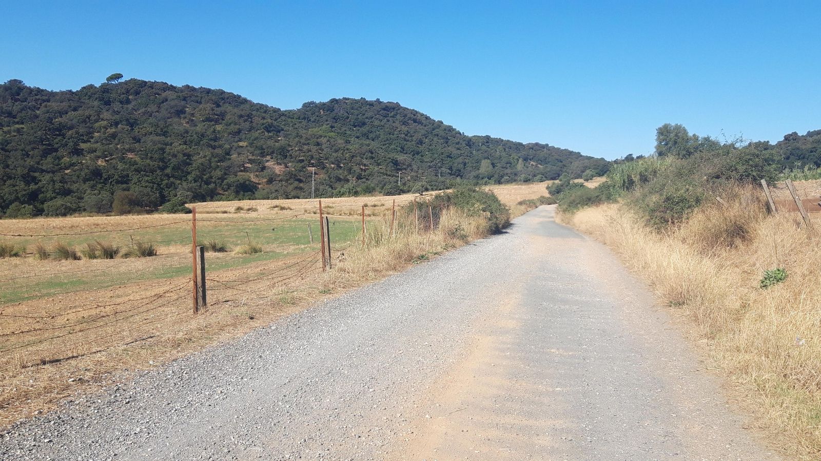 Las fotos de la Circular del Campovid