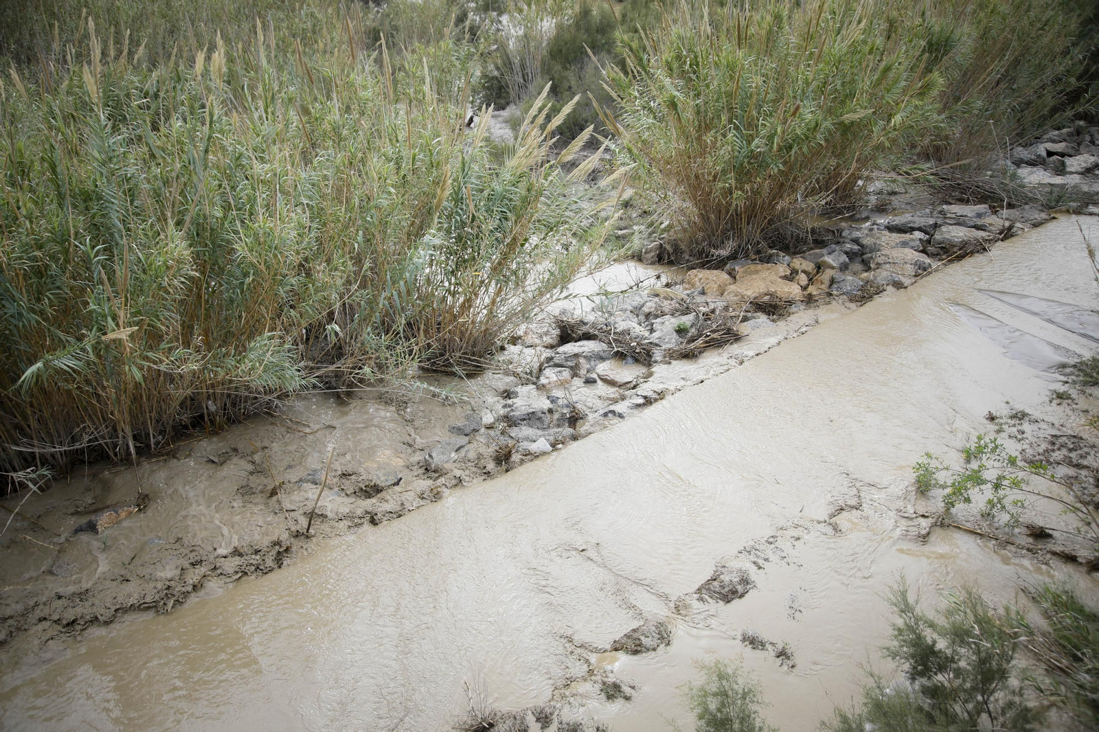 La desembocadura del río Andarax, en imágenes