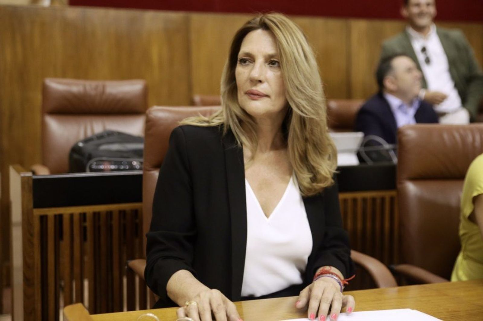 La parlamentaria andaluza de Ciudadanos por Granada, Concha Insúa.