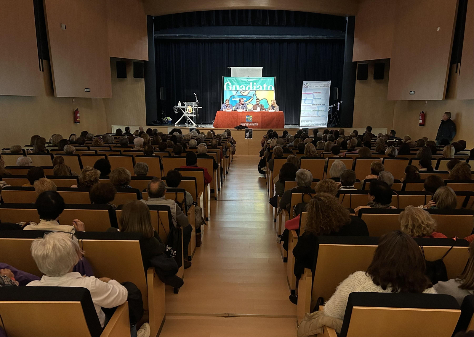 El Alto Guadiato clama contra la violencia sobre la mujer, en imágenes