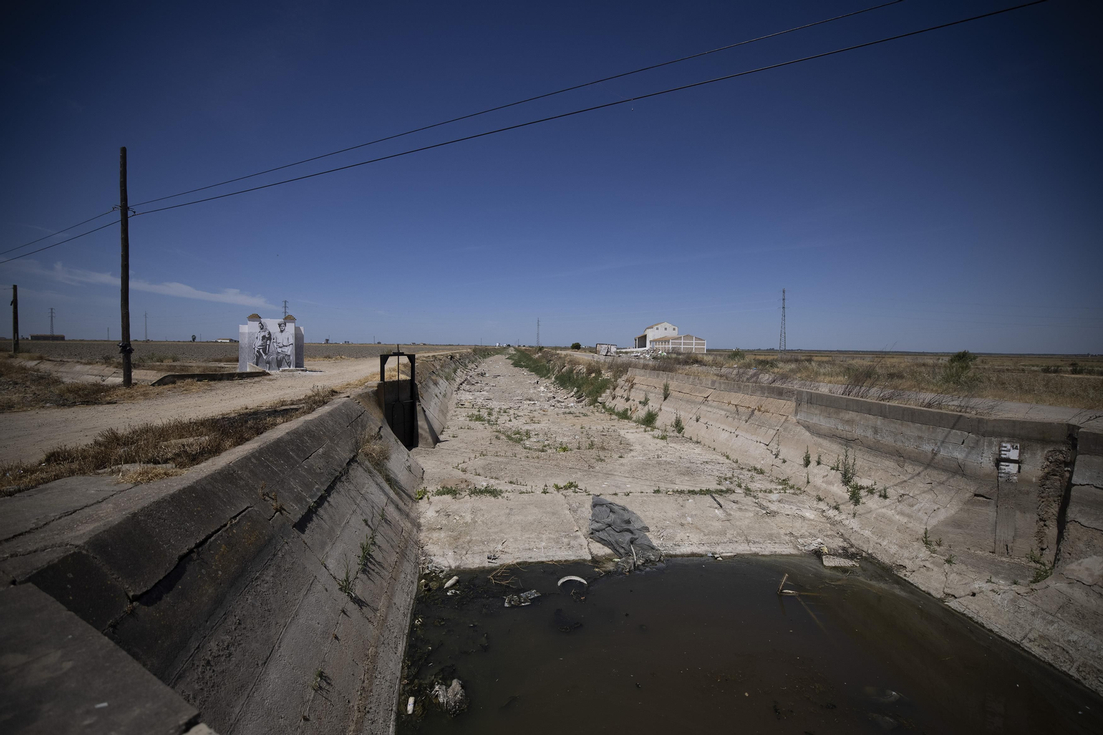 Las fotos de la sequía que sufren los cultivos de arroz en Isla Mayor