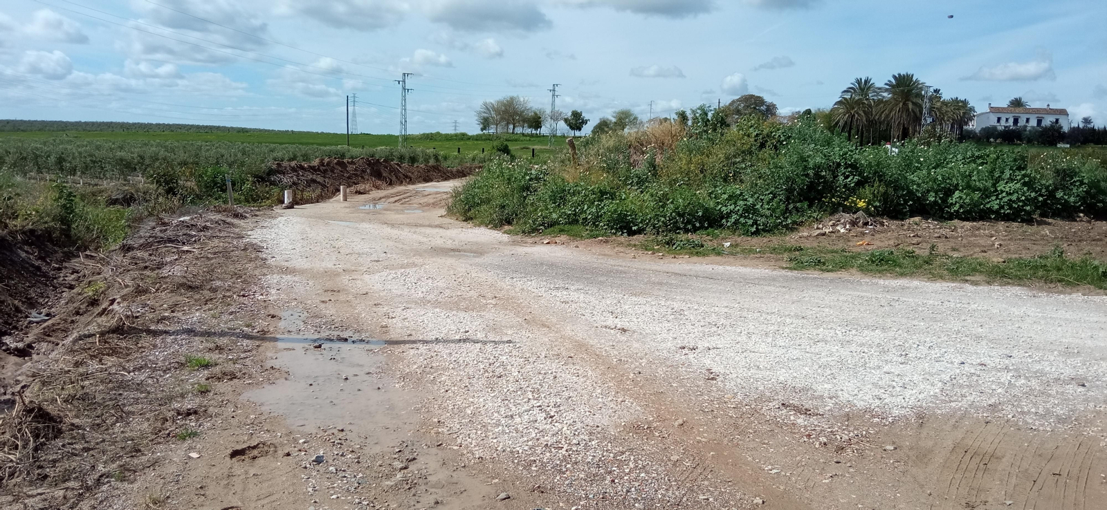 Las imágenes de la Ruta Azul en Bollullos de la Mitación