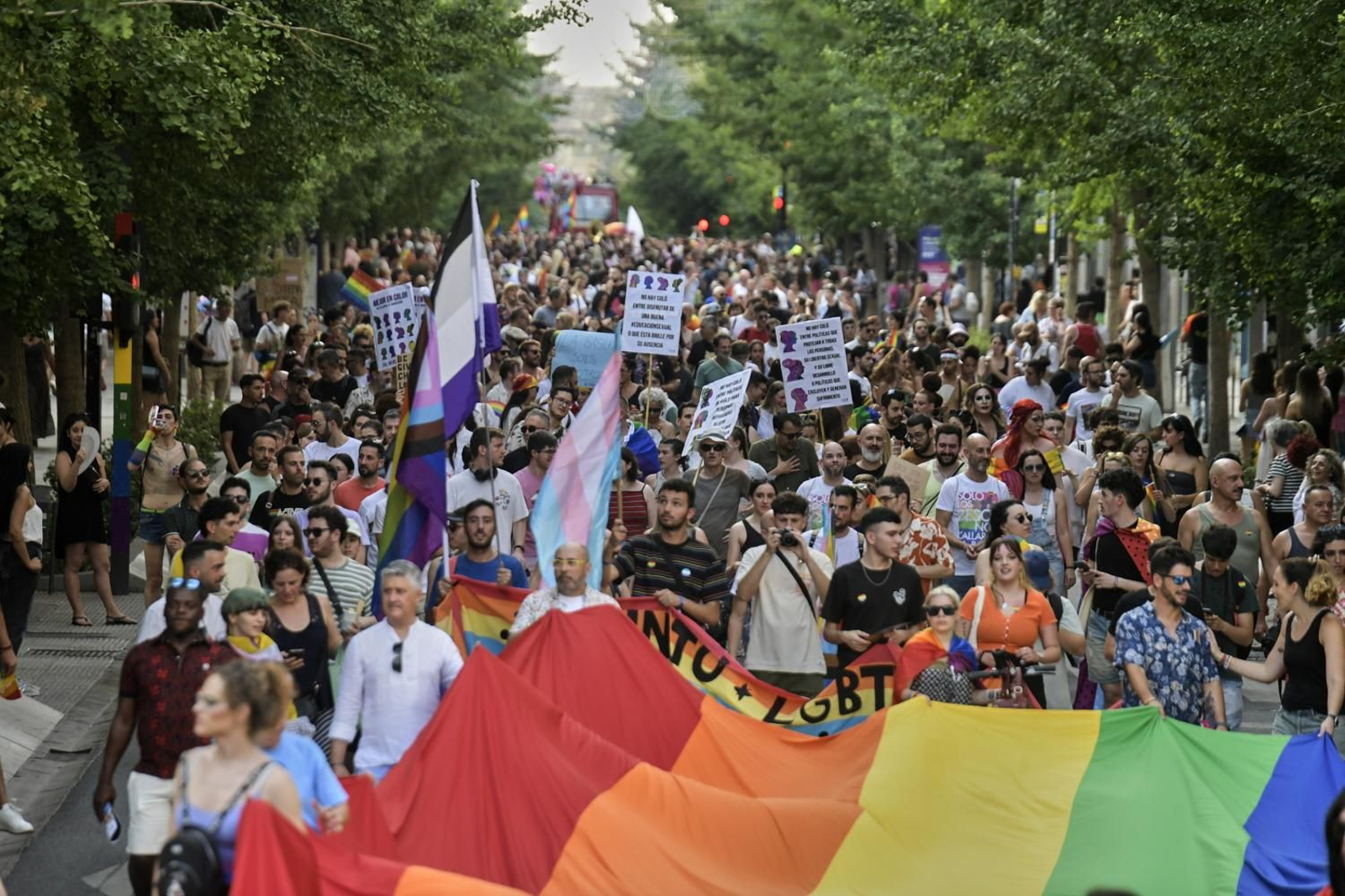 El pregón de Jedet y la marcha del Orgullo en Granada, en imágenes