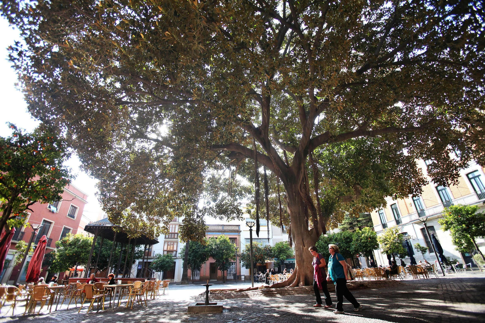 Los días de paseo con mangas cortas tendrán en breve los días contados.