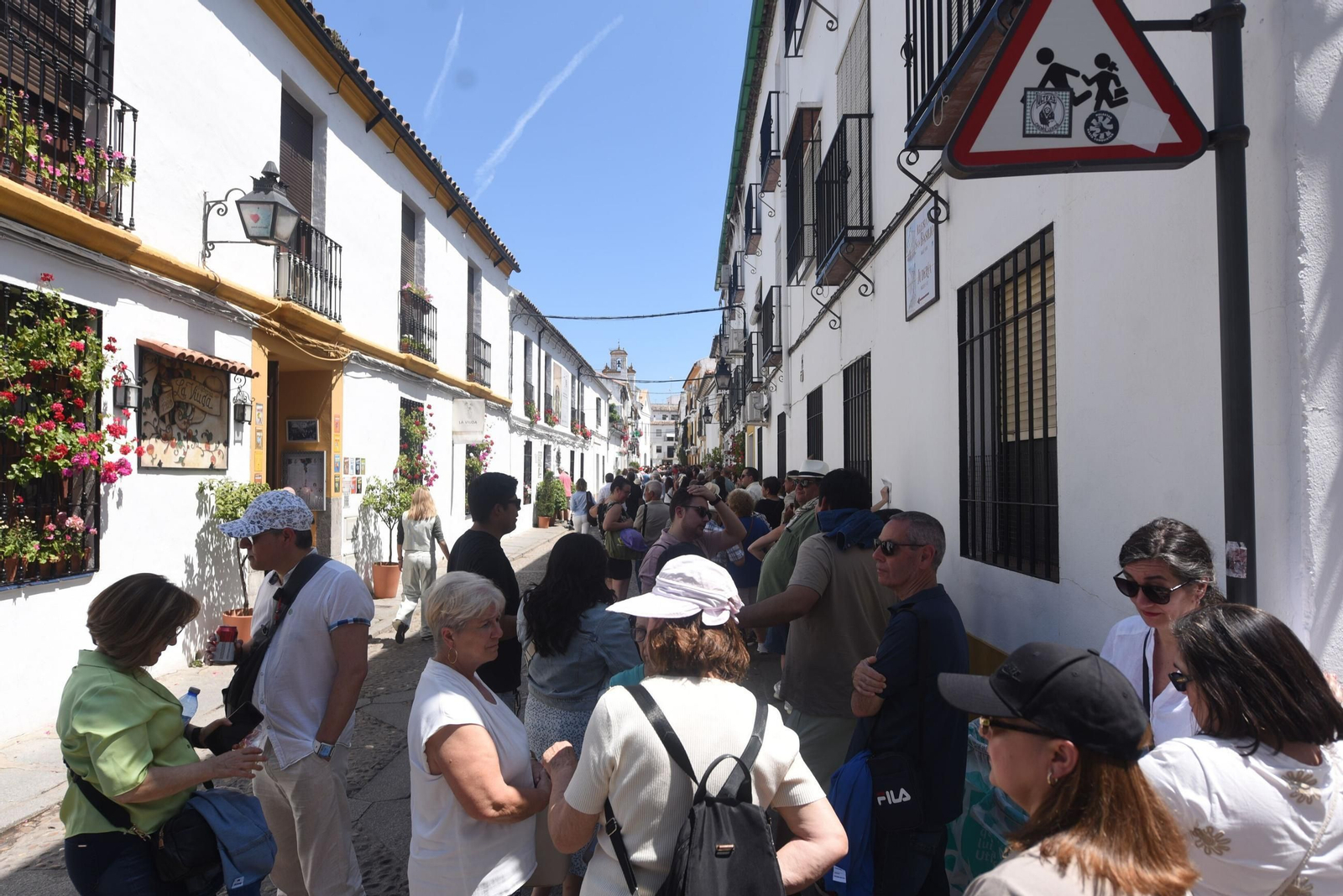 El último sábado de Patios de Córdoba en Alcázar Viejo, en imágenes