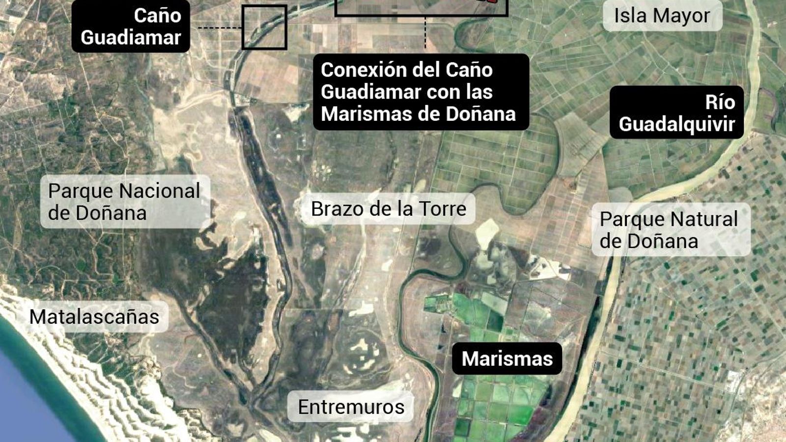 A través del Caño Guadiamar se aportará agua a las Marismas de Doañana. Fuente: Ministerio de Transición Ecológica