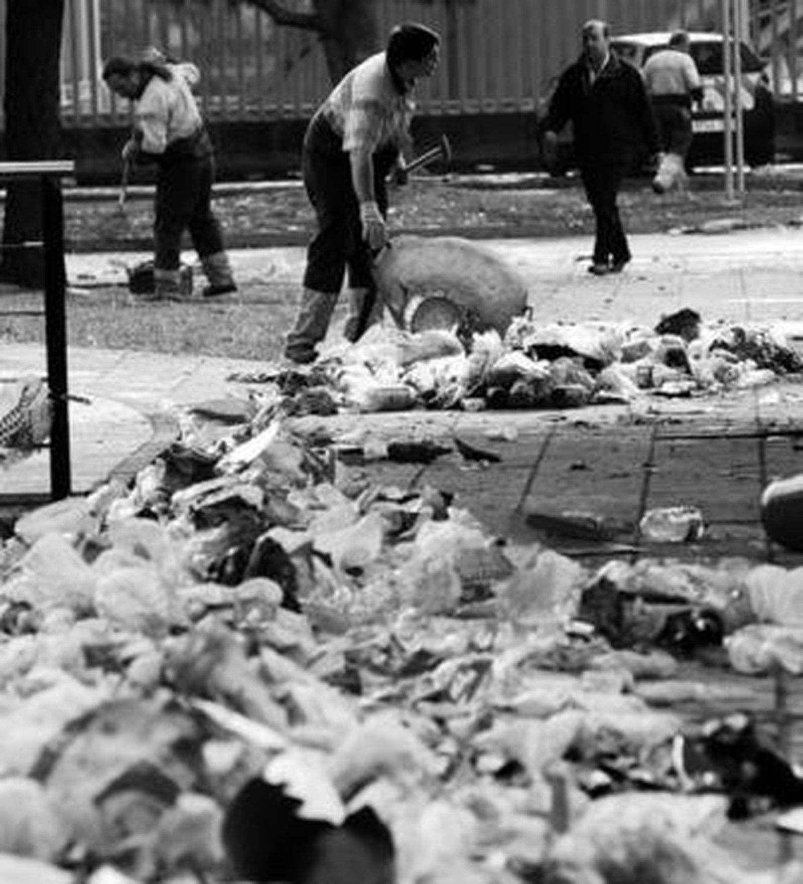 Un grupo de operarios de la limpieza recoge los restos de una 'botellona' celebrada en la Cartuja.