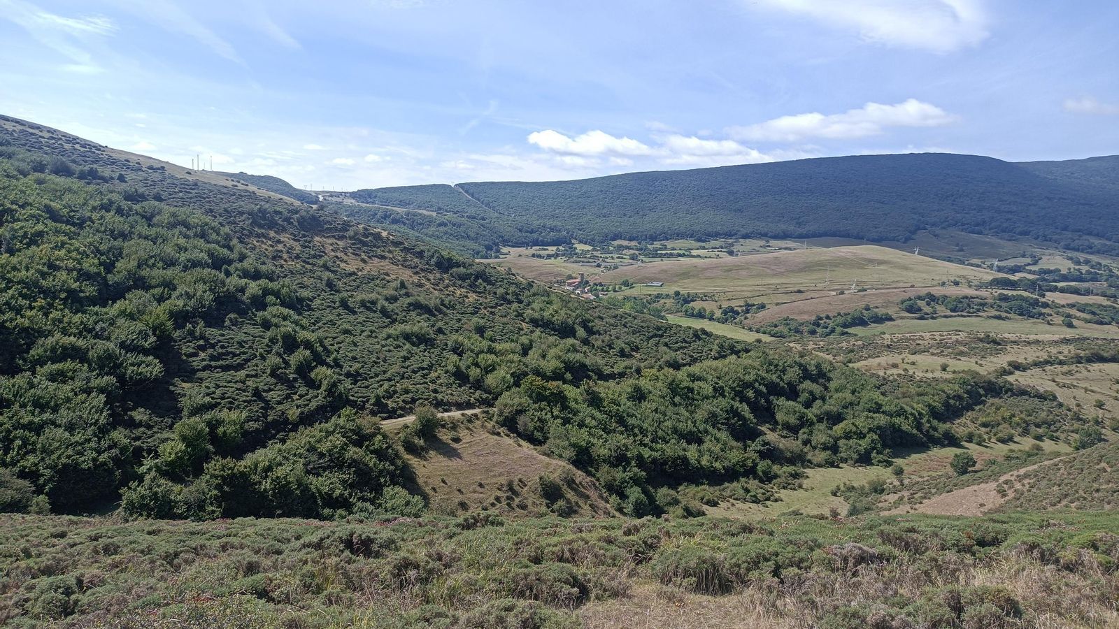 La bajada hacia Cervatos. El pueblo se ve al fondo.