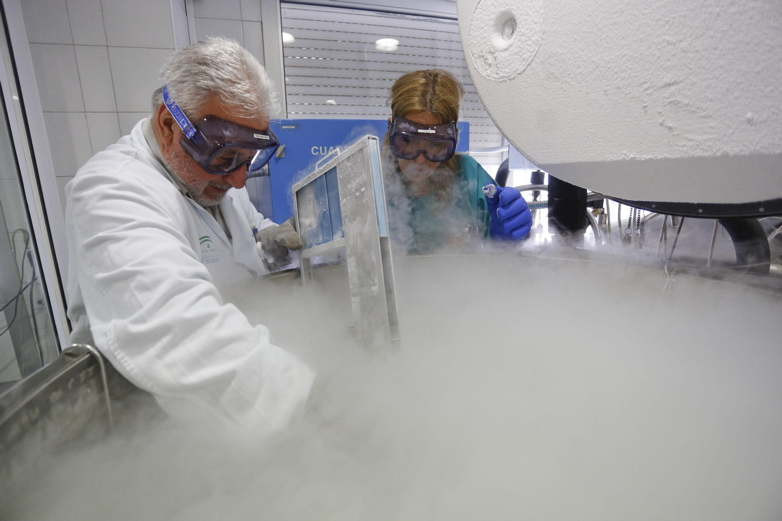 Torrecárdenas ya cuenta con autorización para realizar trasplantes de médula ósea