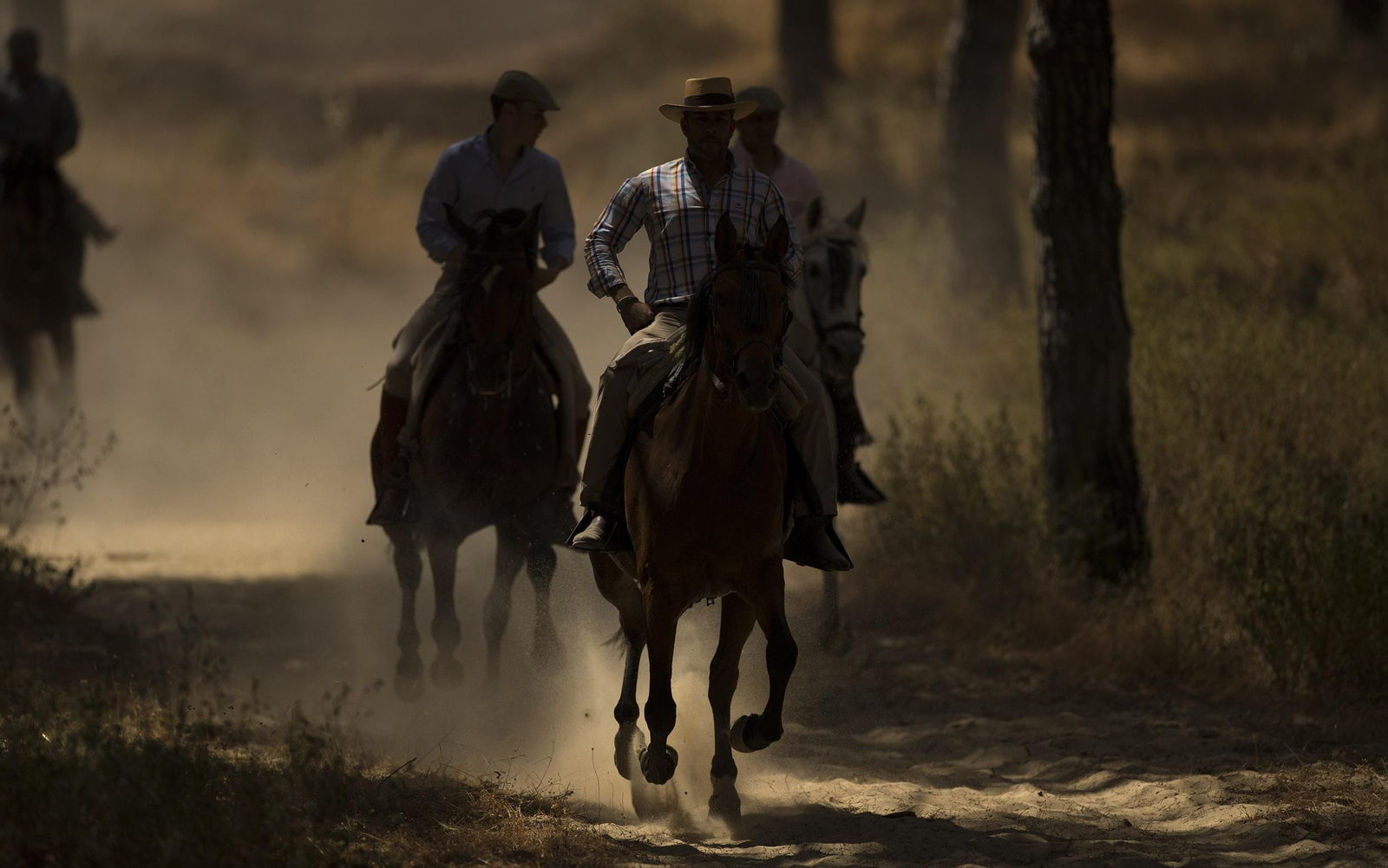 La Saca de las Yeguas, en imágenes