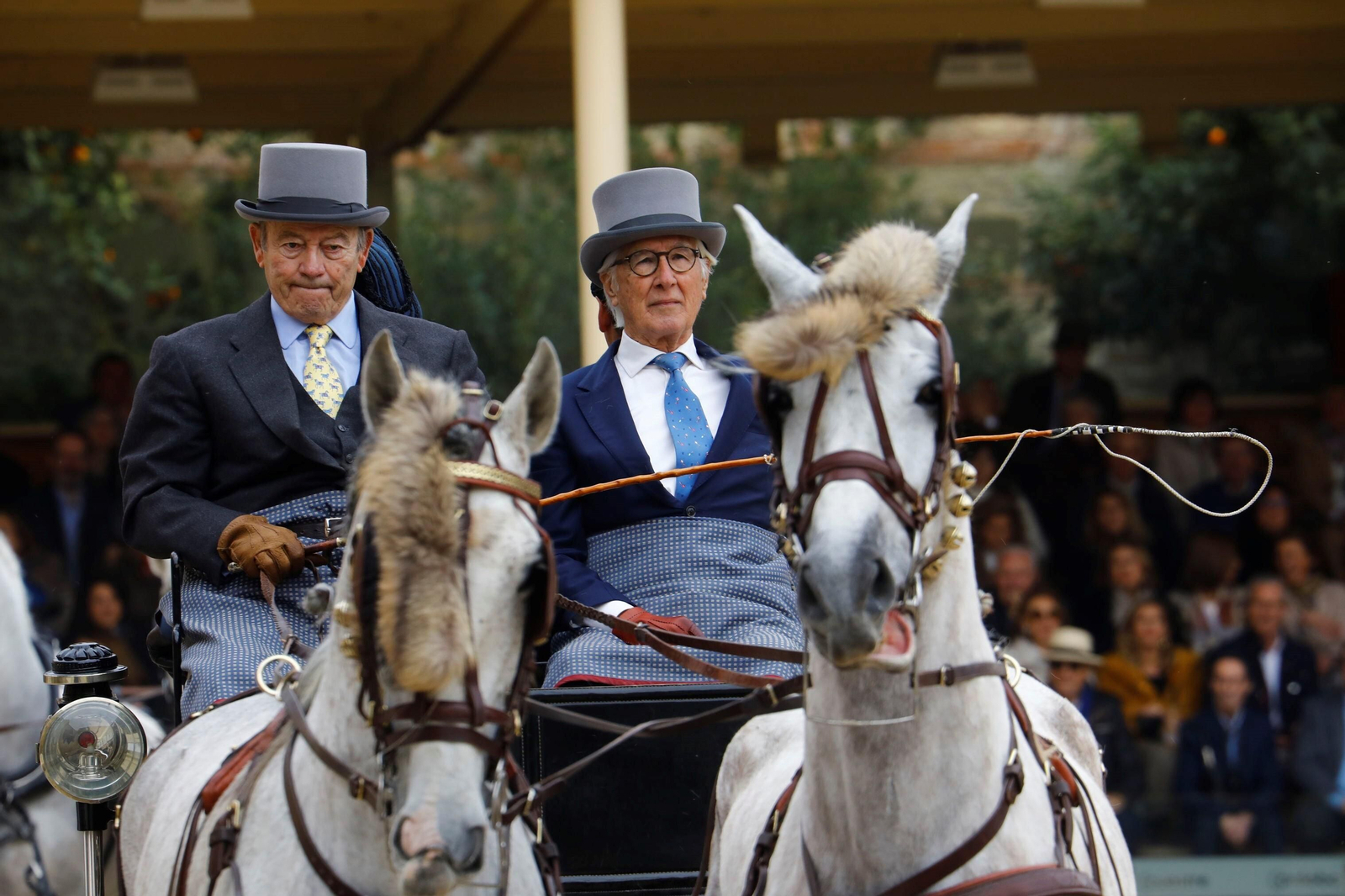 La exhibición de enganches en Caballerizas Reales de Córdoba, en imágenes