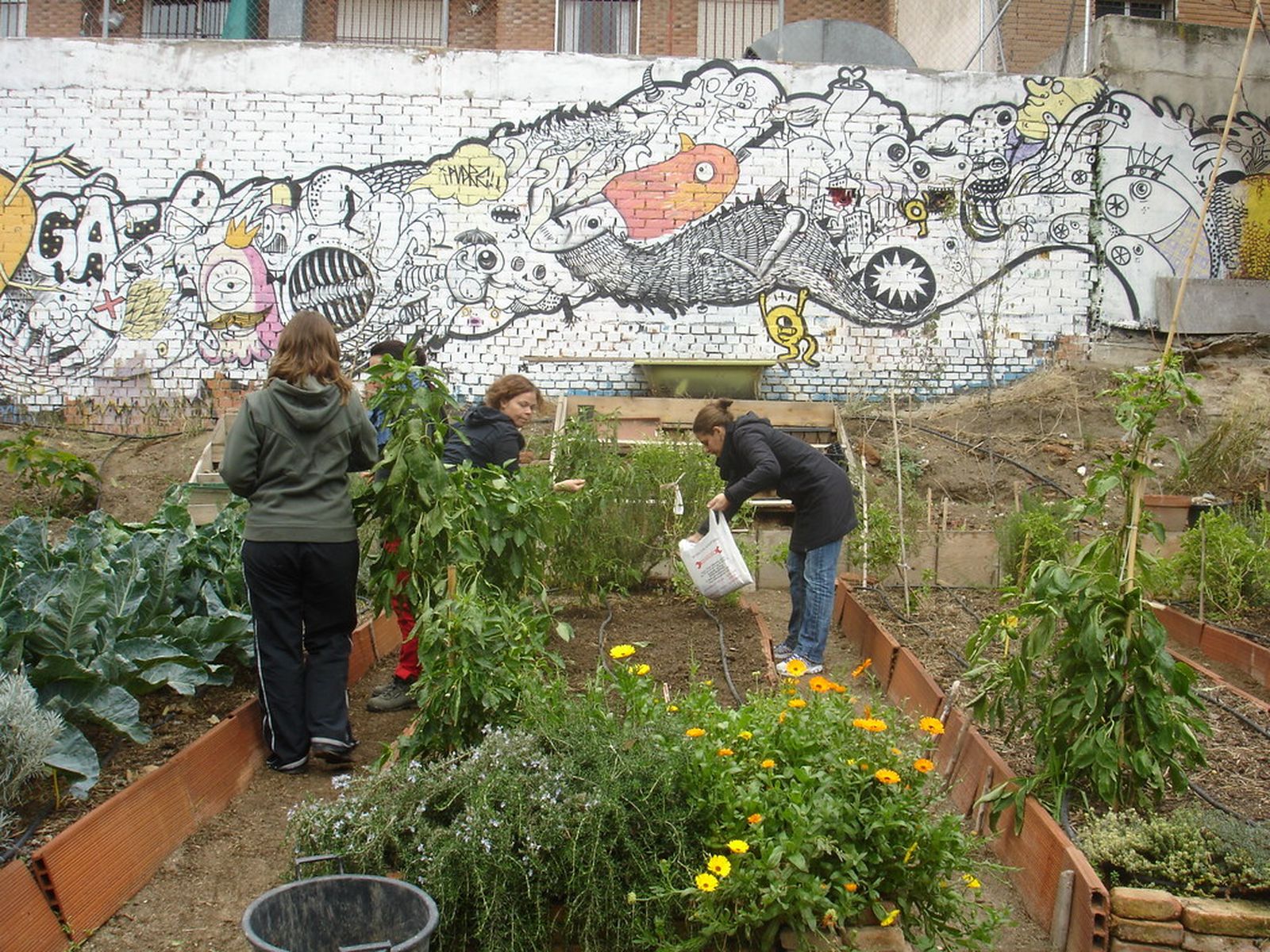 Ya se permite la visita a los huertos urbanos o particulares, aunque solo en el mismo municipio.