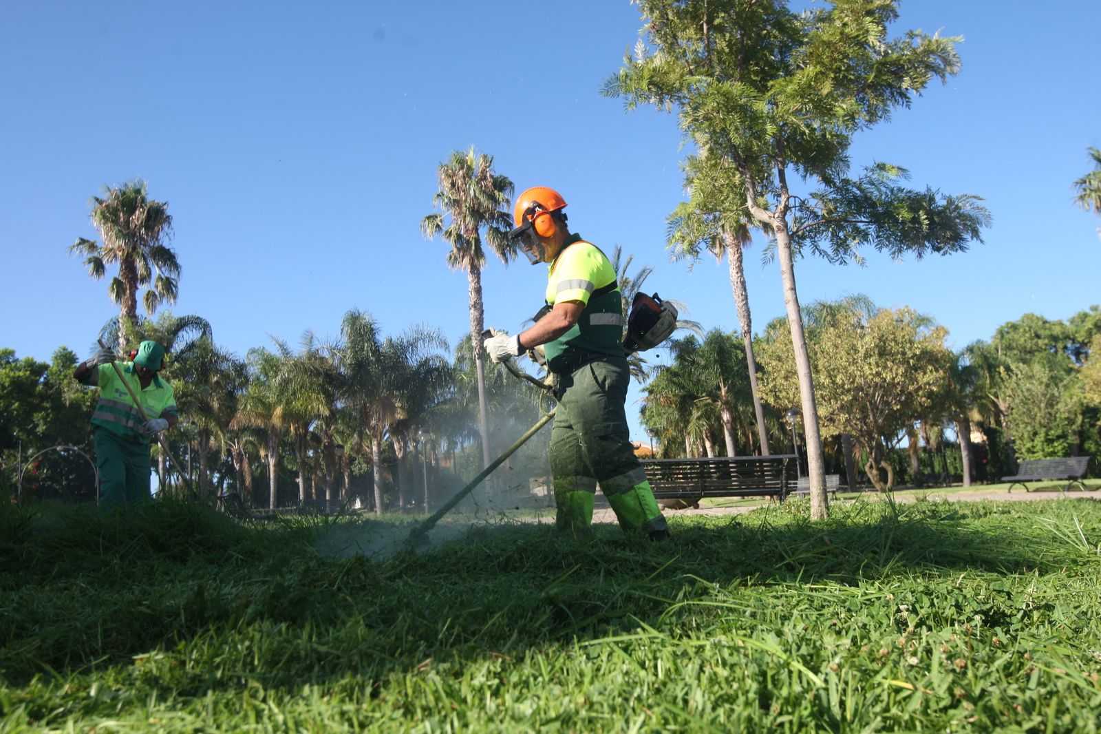 Podemos reclama cambios en el mantenimiento de Parque y Jardines cuando ...