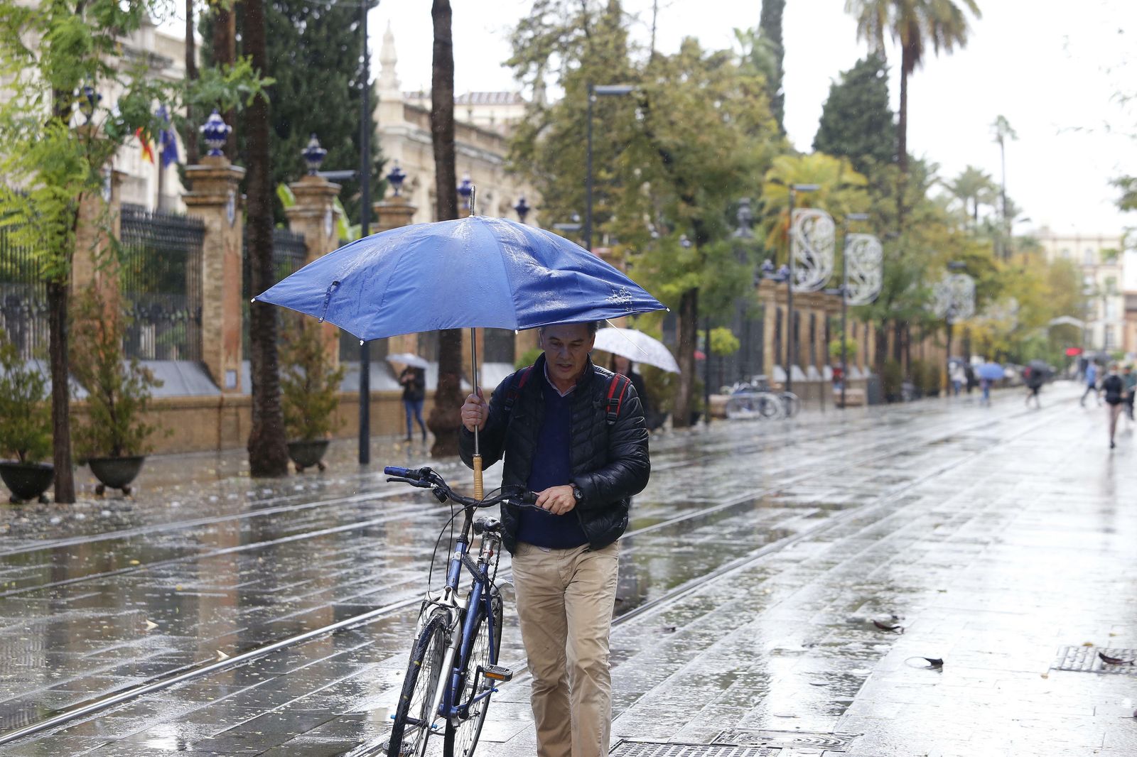 Las imágenes del temporal en Sevilla
