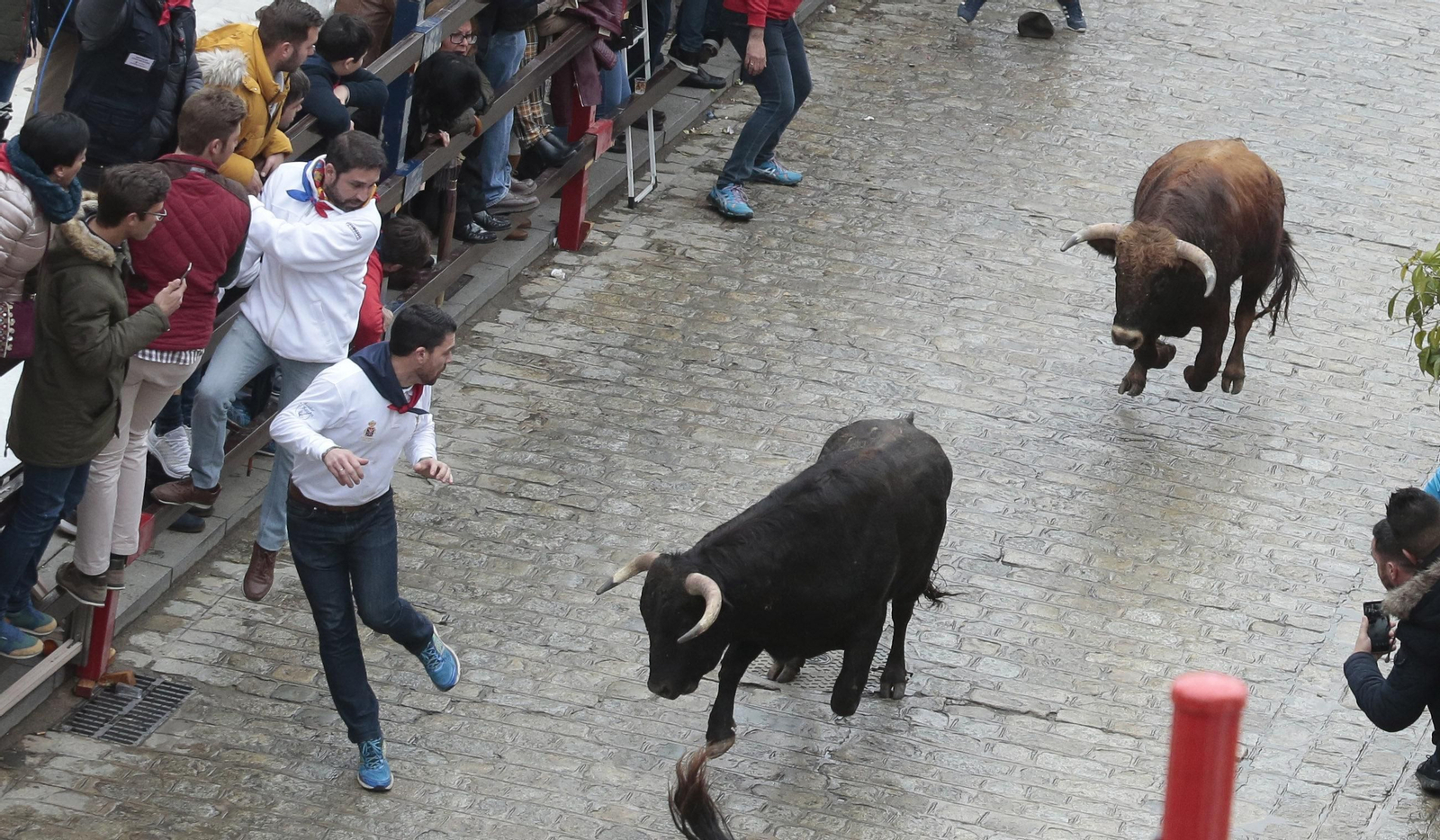 Las imágenes del encierro en La Puebla del Río