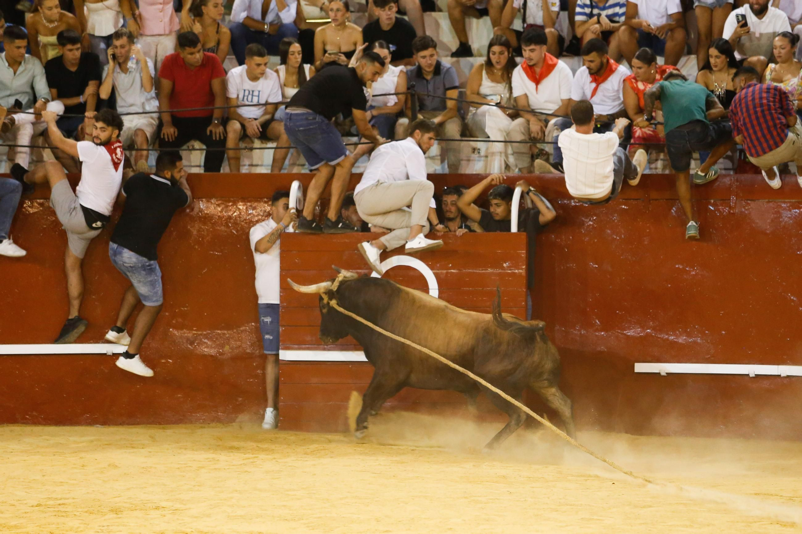 Fotos del Toro del Aguardiente en San Roque