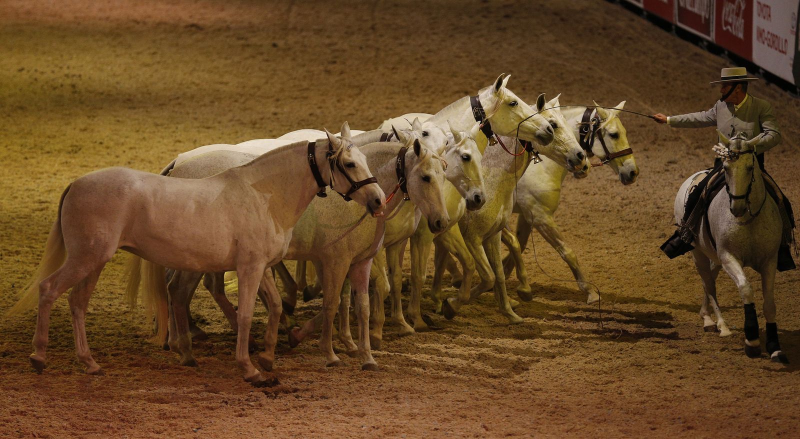 Inauguración de Sicab 2017