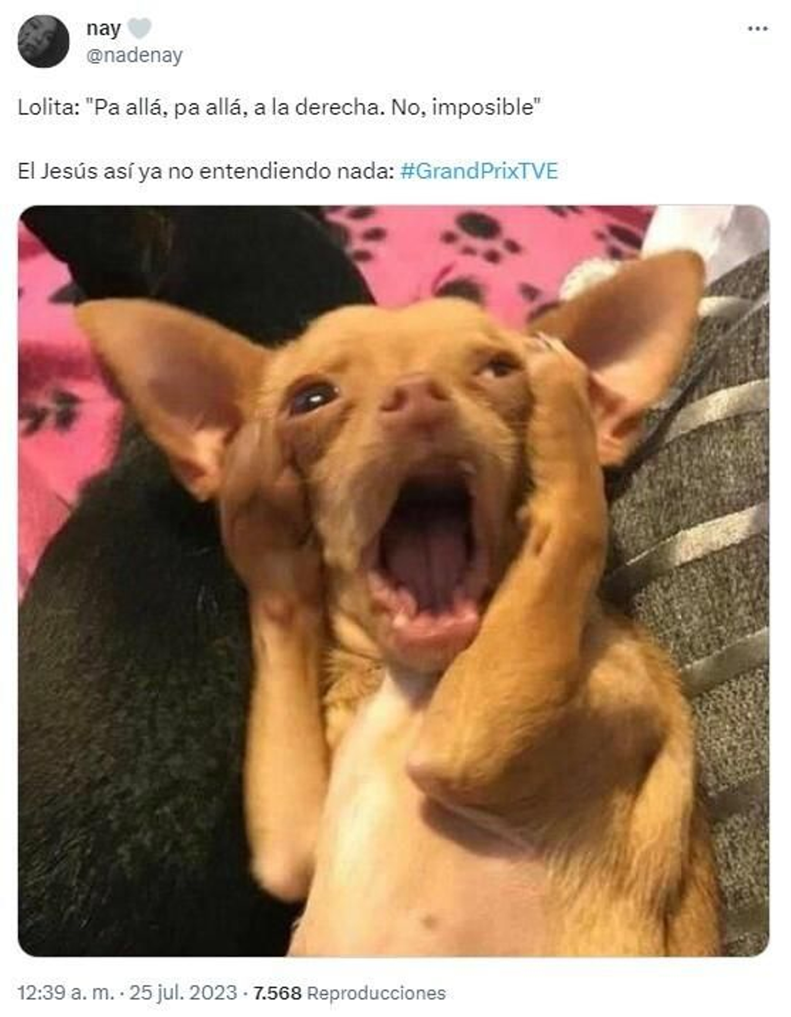 Los que comentaban en redes sociales criticaron la forma de dar indicaciones de Lolita al concursante de Alfacar