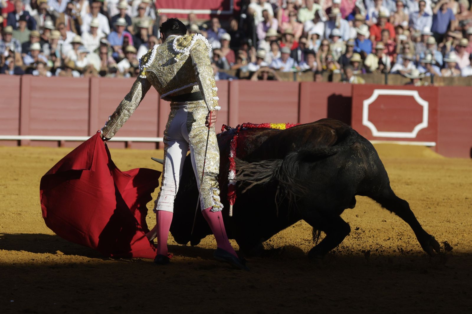 Las imágenes del festejo