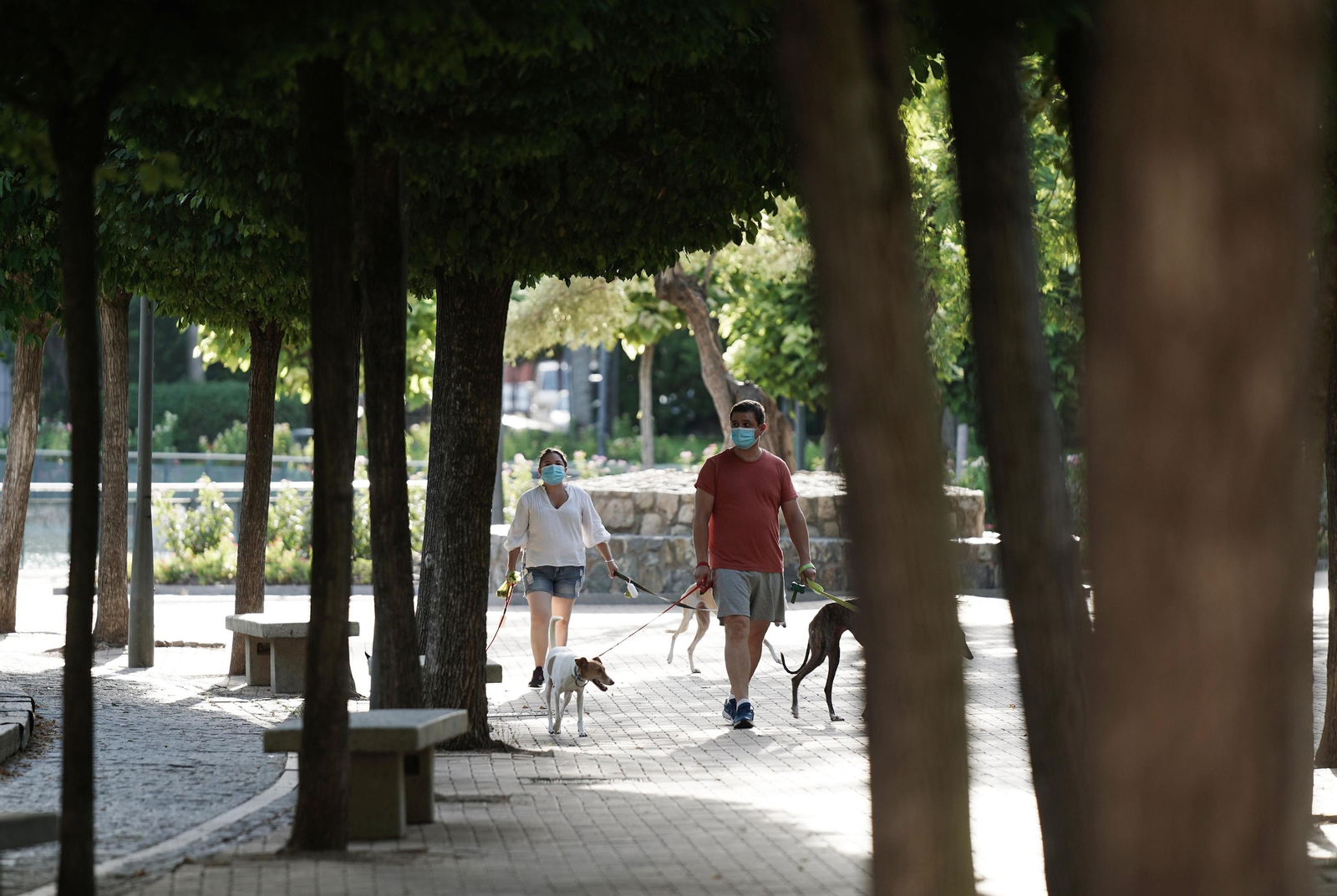 Dos personas pasean por un parque de Córdoba con mascarilla.