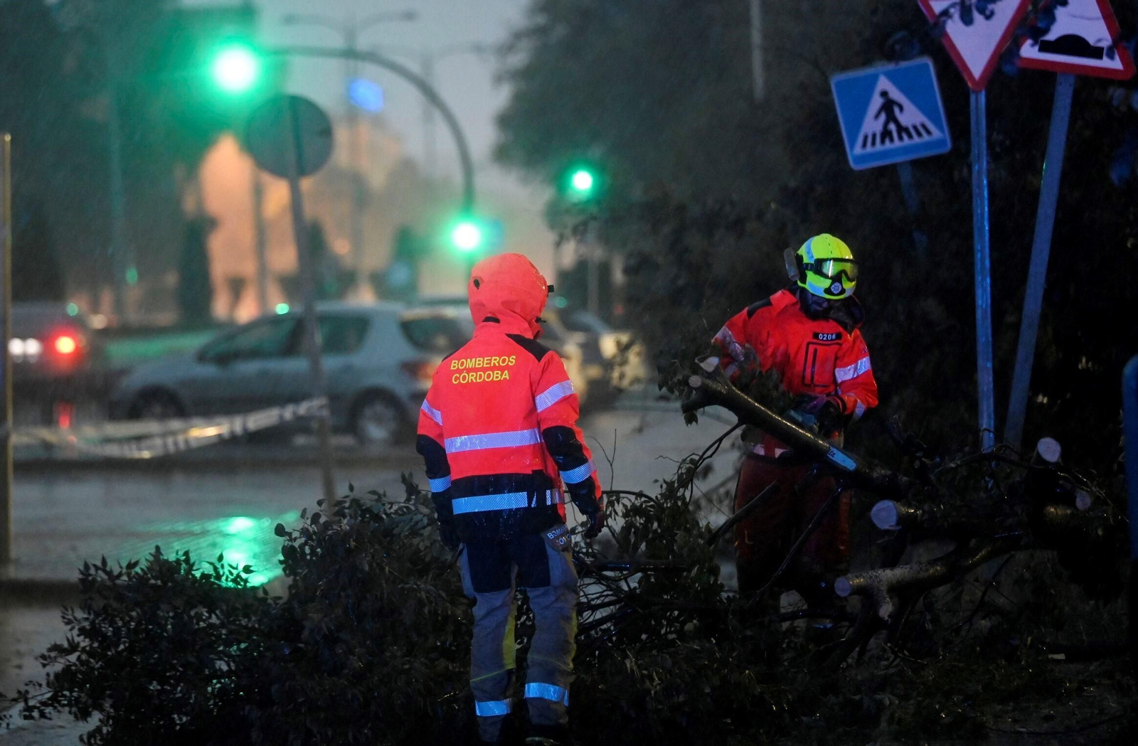 Las imágenes de los daños causados por el fuerte viento en el Sector Sur en Córdoba