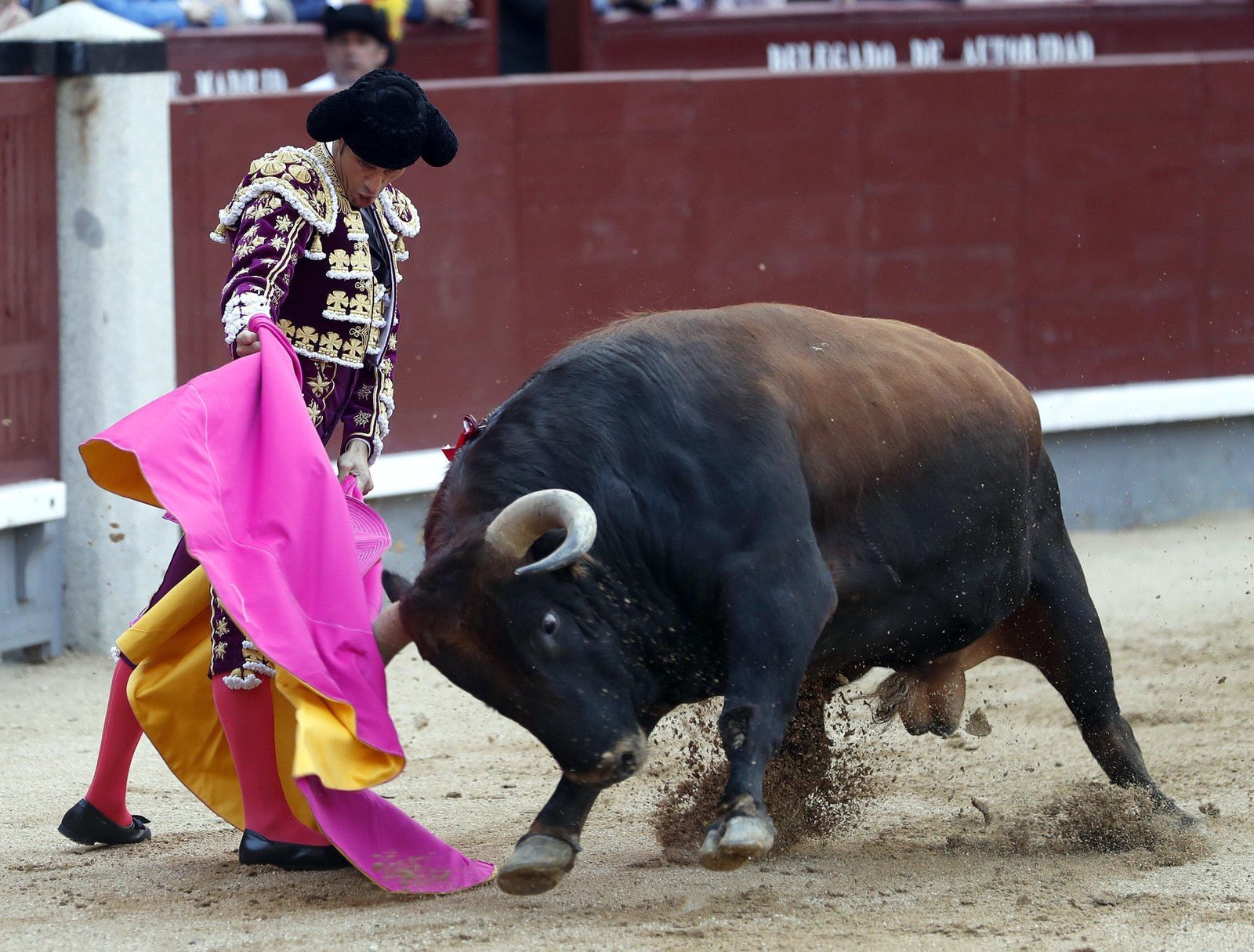 Luis David Adame, en un pase de pecho al extraordinario 'Ombú', de Juan Pedro Domecq, al que cortó una oreja.