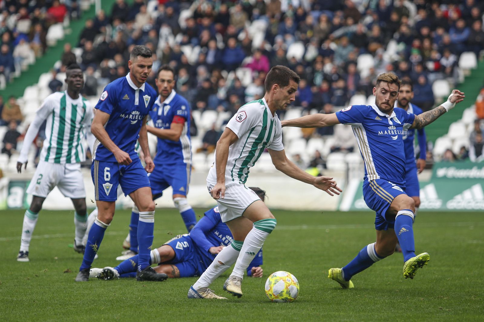 Las fotos del Córdoba CF - Marbella
