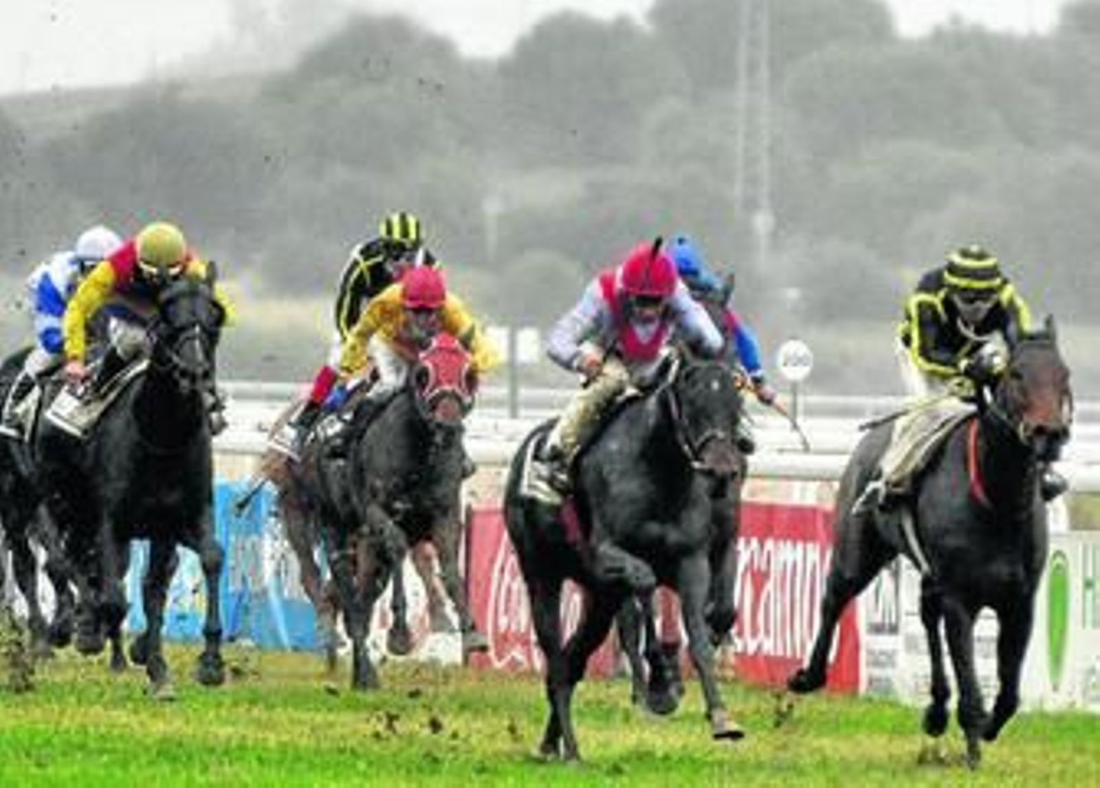Imagen de grupo de una de las pruebas de la primera jornada de carreras.