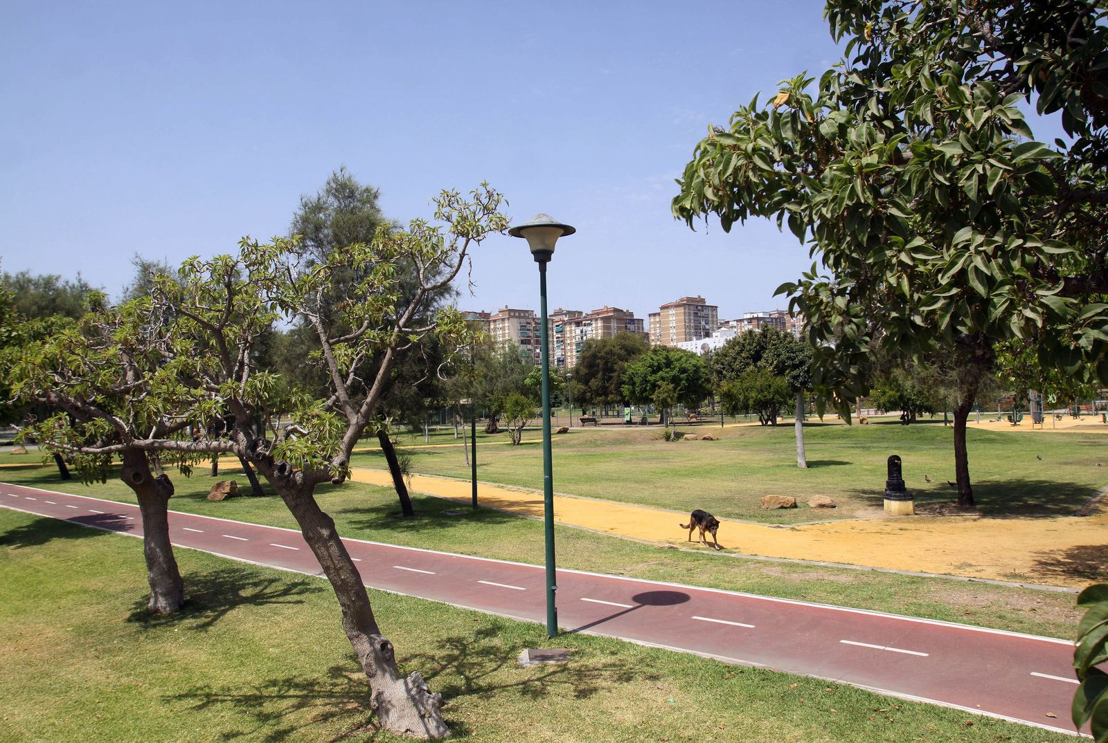 El parque Huelin, uno de los lugares en los que denuncian la presencia de roedores.