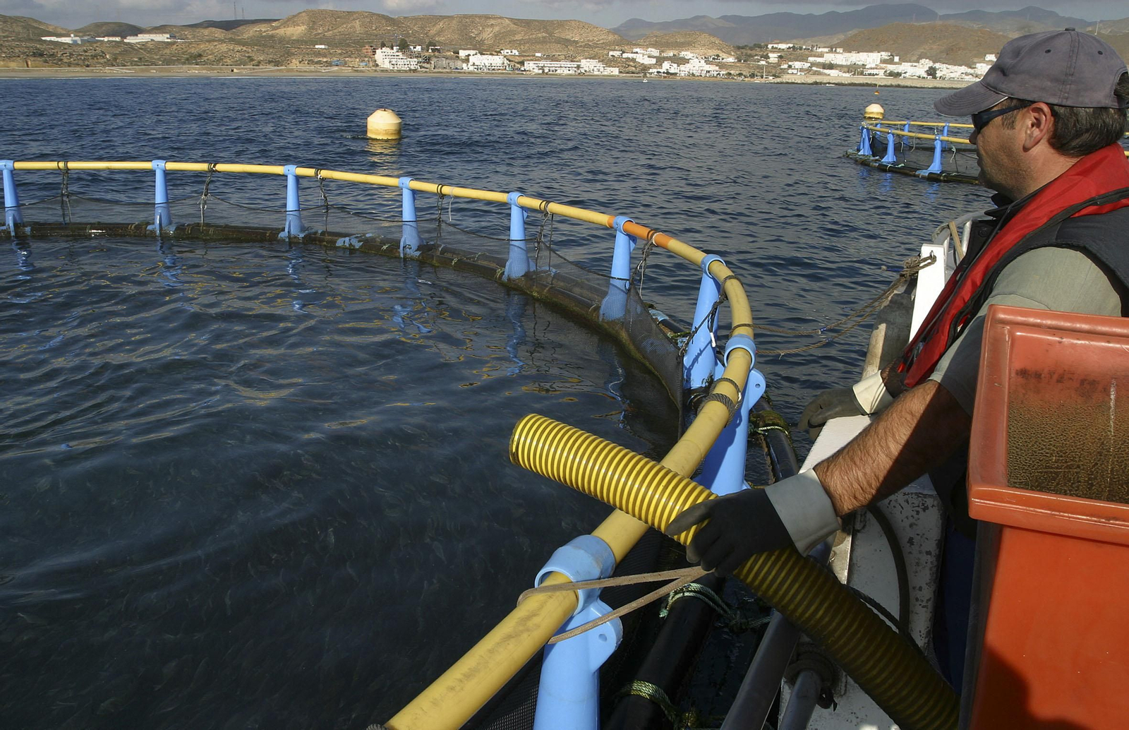 Acuicultura en Almería.