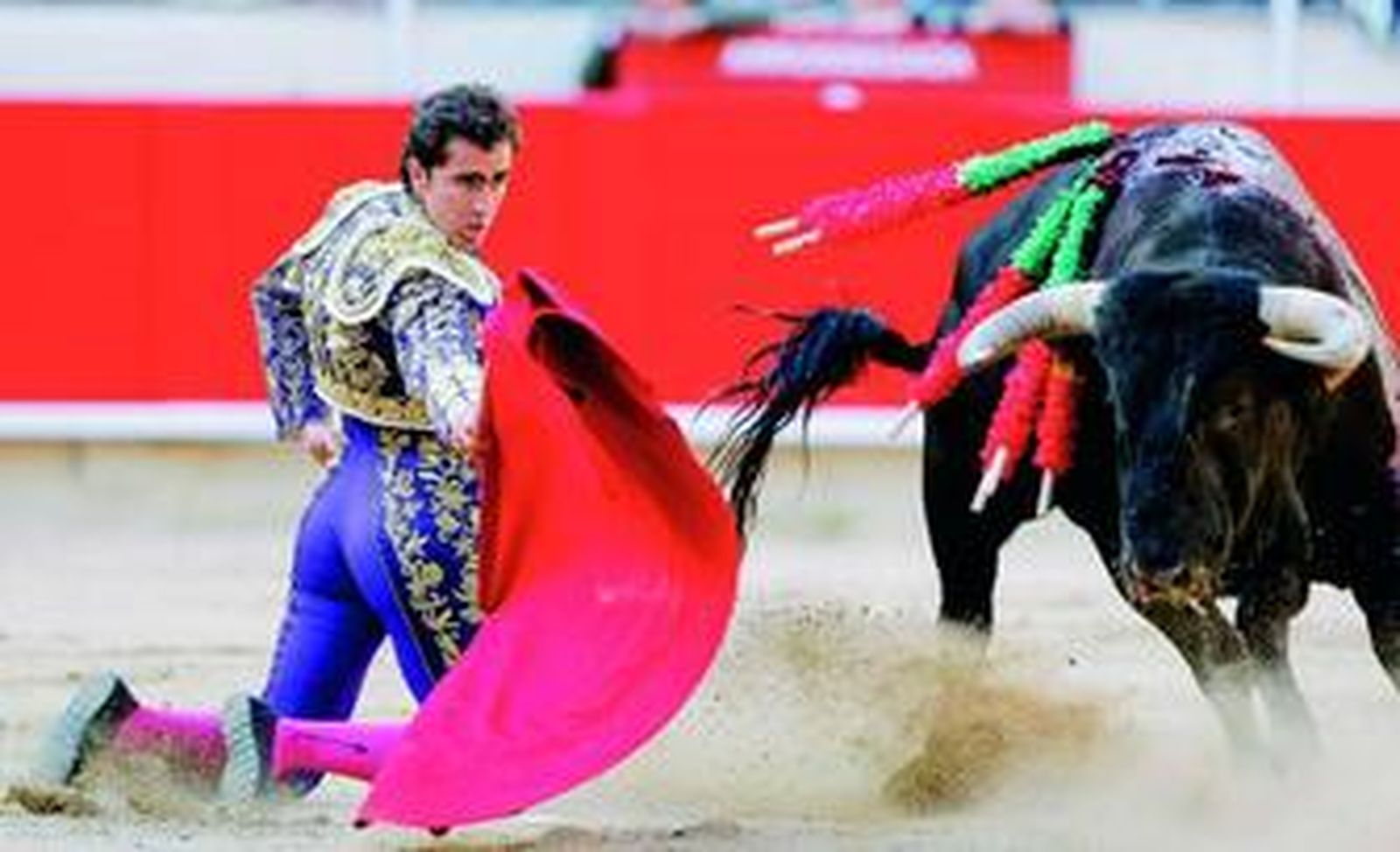 David Fandila 'El Fandi', en un muletazo de rodillas a uno de sus toros.