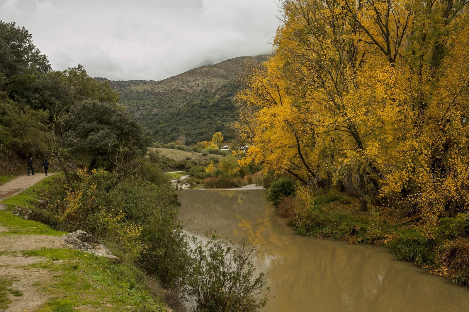El arroyo del nacimiento de Benaoján, la pasada semana.