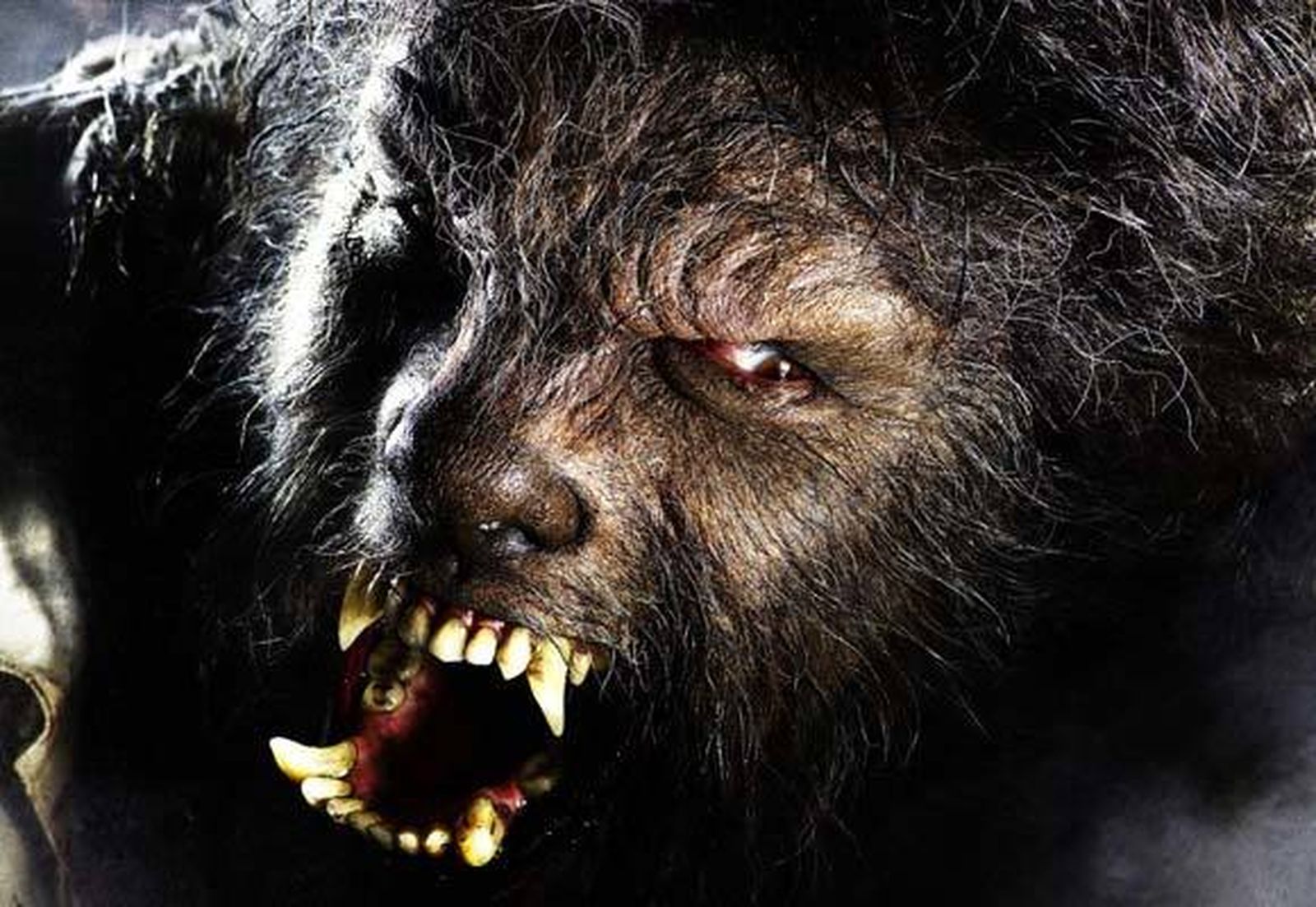 Tom Ford y Benicio del Toro, nombres propios en la cartelera