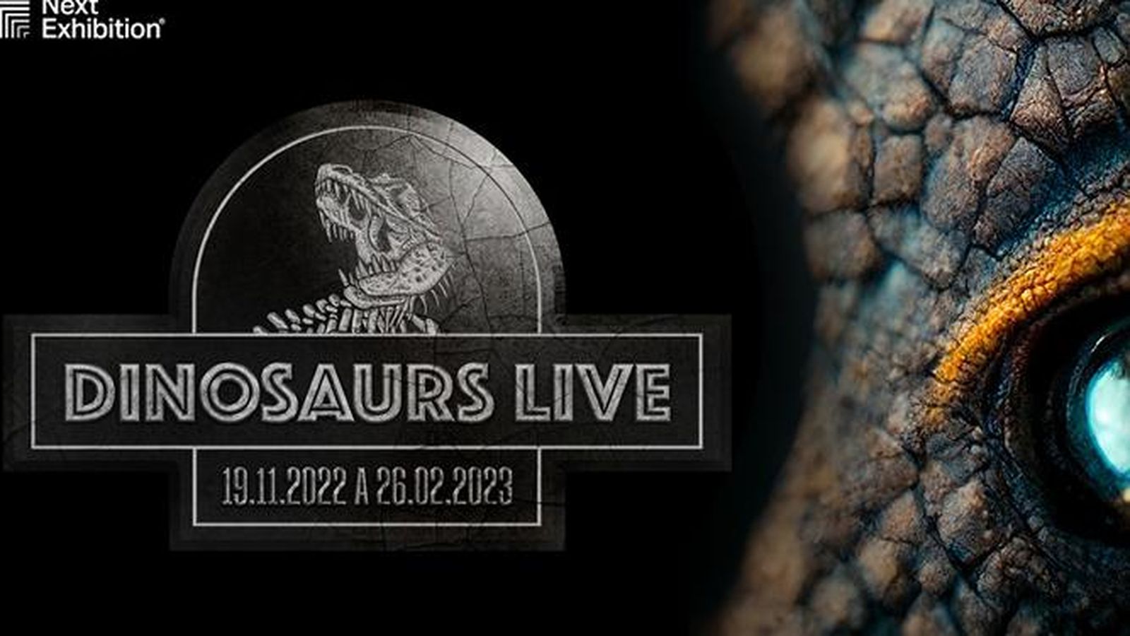 Cartel de la exposición Dinosaurs Live