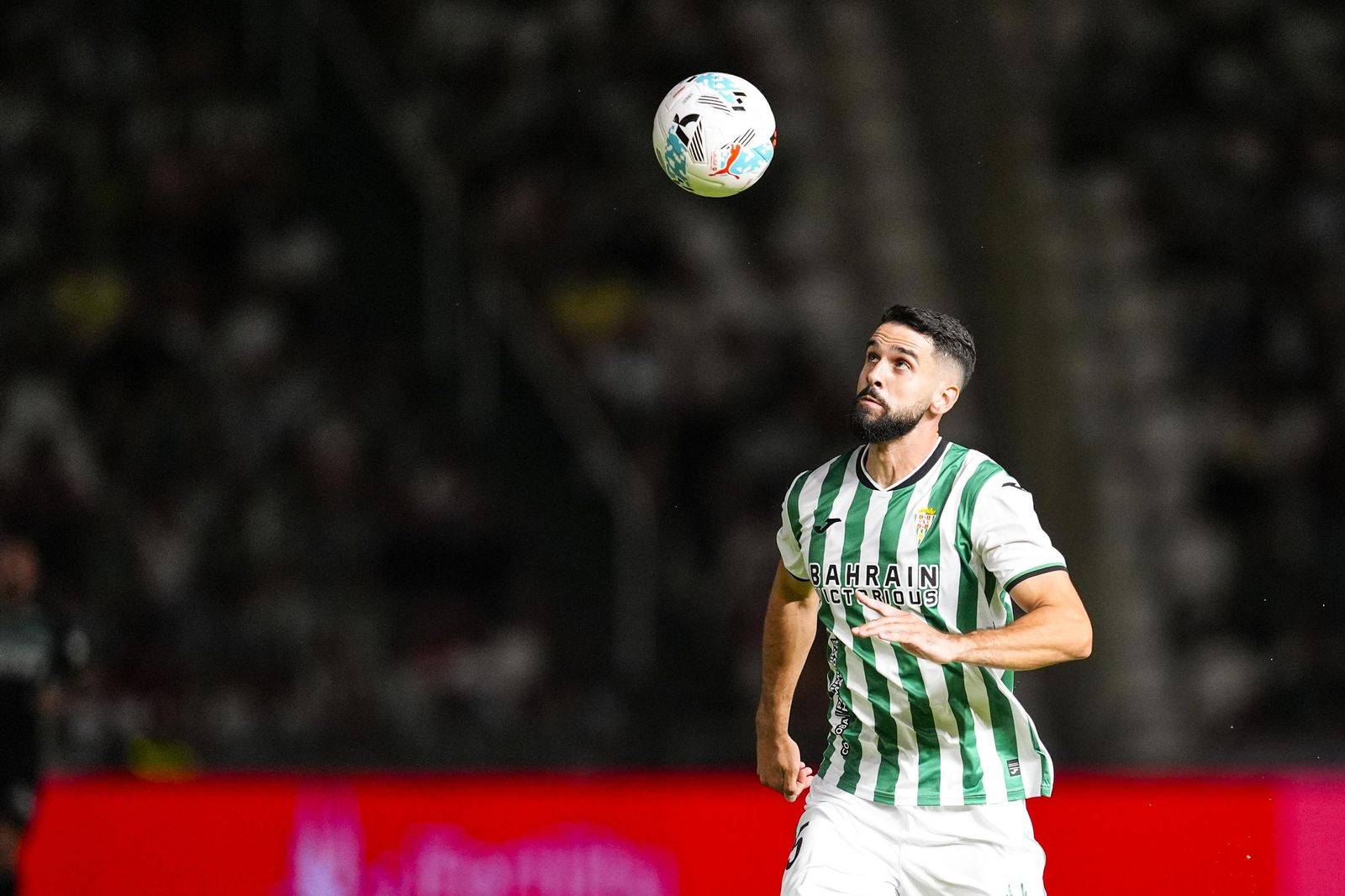 Las fotos del Córdoba-Betis