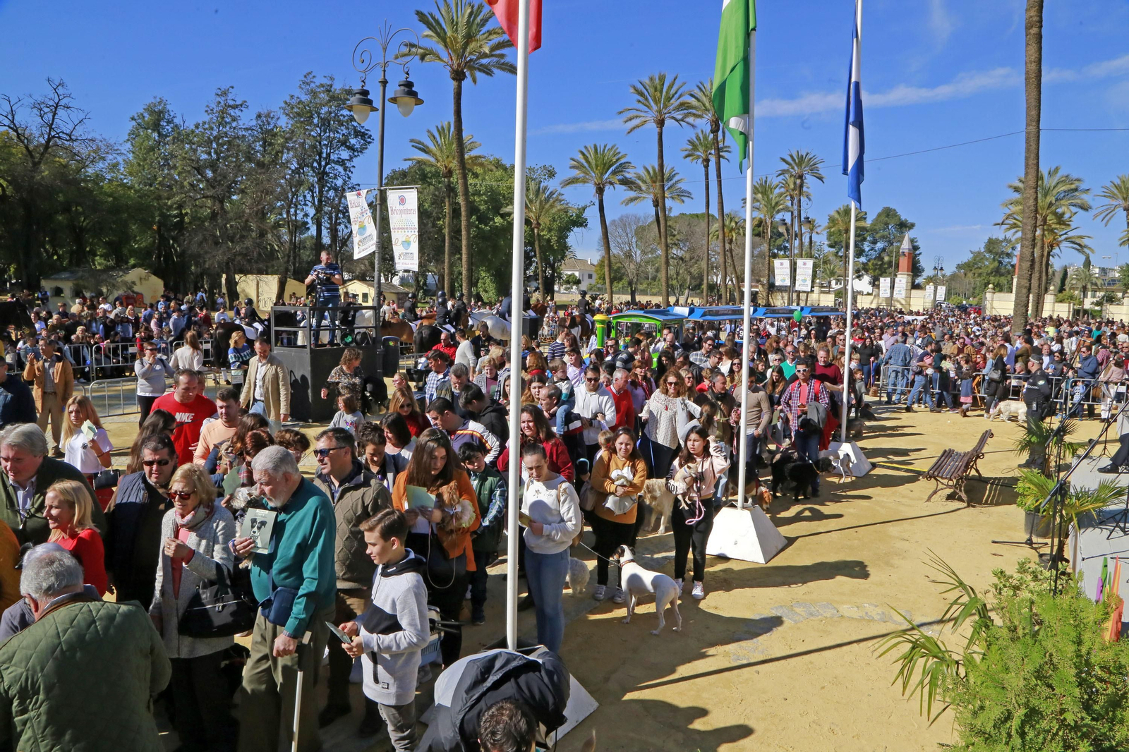 Imágenes de San Antón 2020 en Jerez