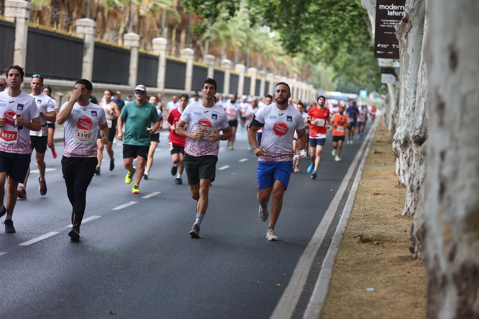 Las mejores fotos de la Carrera Ponle Freno en Málaga