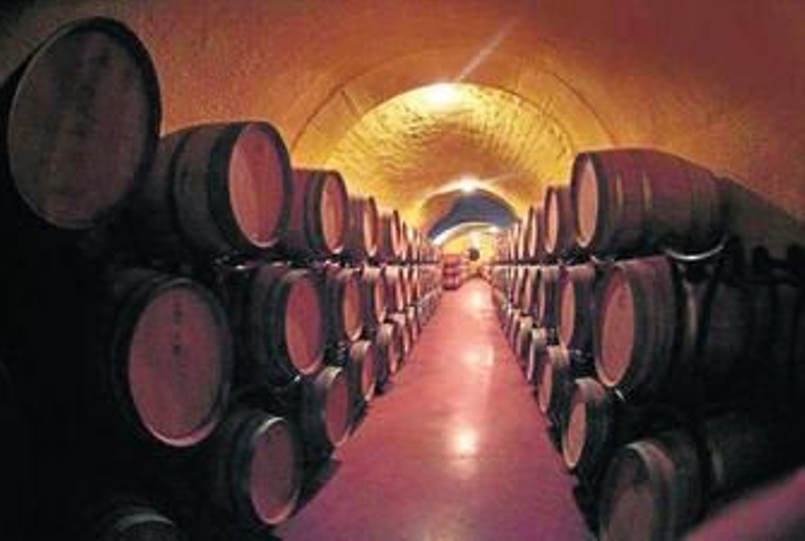 Pago de Almaraes: Naturaleza, vino y aventura